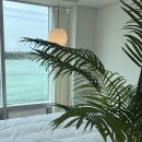 제주바다너머집해변점 이미지