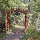 치악산둘레길 9코스 자작나무길 이미지