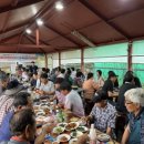 제주감귤농업협동조합안덕지점 이미지