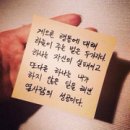 백세상조
