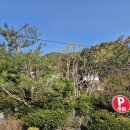 비피펜션 이미지