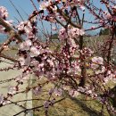 2025년 3월 26일 남파랑길 74코스 이미지