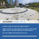 의료법인양진의료재단 성모요양병원 이미지