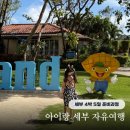 제주M리조트 | 아이랑 세부 자유여행 4박 5일 일정 날씨 환전 리조트 시터 준비물 리스트 팁