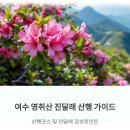 돌고개로 | 여수 영취산 진달래 산행 가이드: 등산객을 위한 완벽 준비와 코스 추천