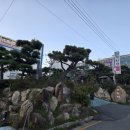 아리아 영계백숙 왕갈비탕 이미지