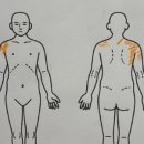 더조은정형외과의원 이미지