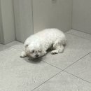 베이시티 동물병원 이미지