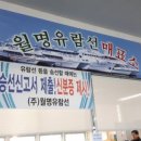 월명유람선 이미지