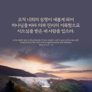 사람 그리고 새 이미지