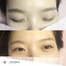 컬러리아 이미지