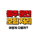 음주운전 보험처리 , 2022년 개정된 규정으로 달라진 부분은? 이미지