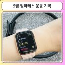 소도구 필라테스 (아침) | 5월 필라테스 14회 출석 후기, 바레부터 리포머 체어 캐딜락까지 꾸준히 다닌 한 달