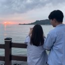 아라여인숙 | 사과가 되지말고 도마도가 되어라