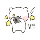 오마이바스켓 이미지
