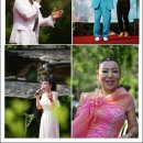 숲속의 둥지 이미지