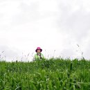 도현목장 이미지