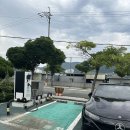 항만식당해물뚝배기 | 거제도 해물탕 맛집/ 장승포 항만식당 해물뚝배기 후기