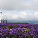 거창-고제-3 이미지