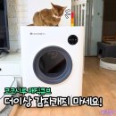 김재로묘입구 화장실 | 고양이 자동화장실 추천 코코시루 매직큐브, 4묘 가정 냄새 고민 한 번에 해결!