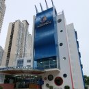 국제펄