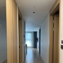 도미니클라바 이미지