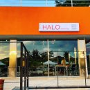 할로인풍 이미지