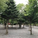 모야의숲 캠핑장 이미지