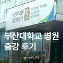 부산대학교병원 | [공지] 부산 퍼스널컬러 드로우미 부산대학교병원 출강 후기