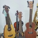 박장희 음악실(실용악기)사진과 하모니카 기본주법 연주 이미지