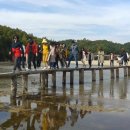 영주 무섬마을 이미지