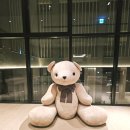 고고싱코인노래뮤비방 | [강릉호텔] 신라모노그램 디럭스 패밀리 트윈 오션뷰 2박3일 후기