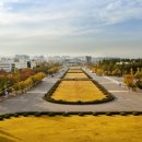 영남대학교 직원 이미지