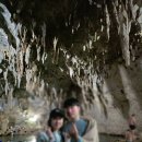 반딧불2 | 보홀 여행 2일차 – 나팔링 반딧불 투어, 데이투어, 후기(가이드맨)