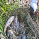 전곡낚시터 이미지