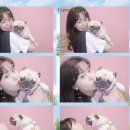 아인스약국 | 25.08.06 (수) 제천 랜덤투어 후기