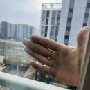 수원하늘채더퍼스트2단지 | 수원 하늘채 더퍼스트 아파트 이사청소 비용·작업 범위 총정리