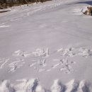 새해 눈덮힌 무등산옛길과 서석대눈꽃 이미지