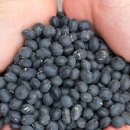 창식농장 이미지