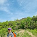 지리산오리마을 이미지