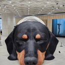 (주)공간몬스터 | [성수] 하우스 노웨어 서울 방문 후기 | 젠틀몬스터, 탬버린즈, 누플랏, 어티슈, 누데이크