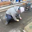 부평북초등학교 이미지