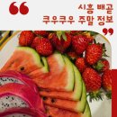 시흥 배곧 쿠우쿠우 주말후기 메뉴정보 내돈내산