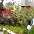 안양-안양-안양-511 이미지