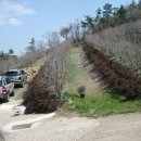 봉우농장 이미지