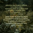 태장청학복싱&무에타이 이미지