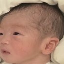 [출산일기] 39주4일 나무정원여성병원 초산모 유도분만 시도 시작하자마자 응급제왕 후기