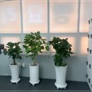 바리스타(창업) A 이미지