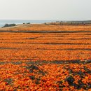 신천목장 이미지