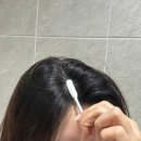 보타닉센스 두피스케일링 추천템! 피에이티디 스왑 사용 후기